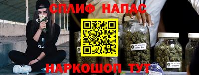 индика Апшеронск