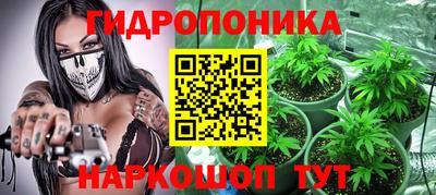 индика Апшеронск