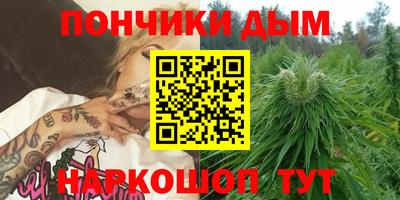 шишки Апшеронск