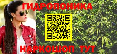 индика Апшеронск