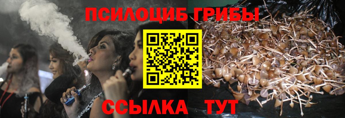 Галлюциногенные грибы MAGIC MUSHROOMS  Вход с VPN  Асбест  Галлюциногенные грибы Psilocybe 
